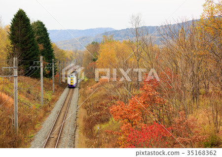 秋葉和火車 35168362