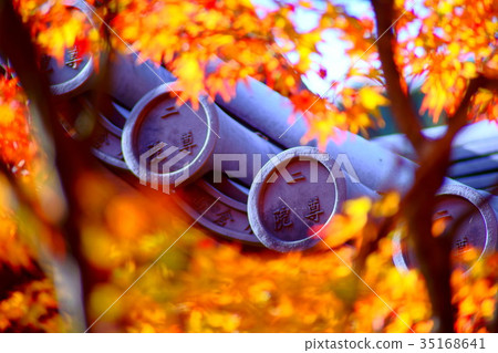 Nison'in Temple in autumn Nison'in Temple in autumn 35168641