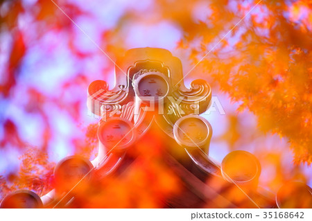 Nison'in Temple in autumn 35168642