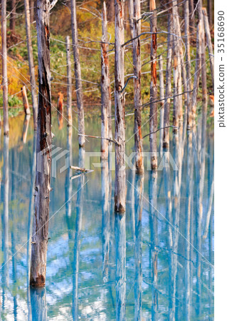 Autumn's Blue Pond 35168690