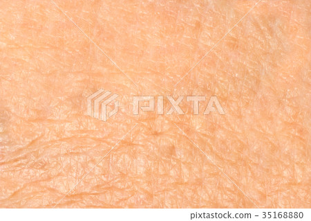 Texture of the skin 35168880