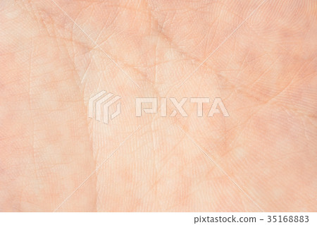 Texture of the skin 35168883