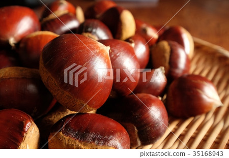 Brown chestnut 35168943