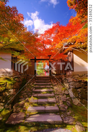 Nison'in Temple black door in autumn 35169252