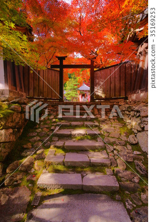 Nison'in Temple black door in autumn 35169253