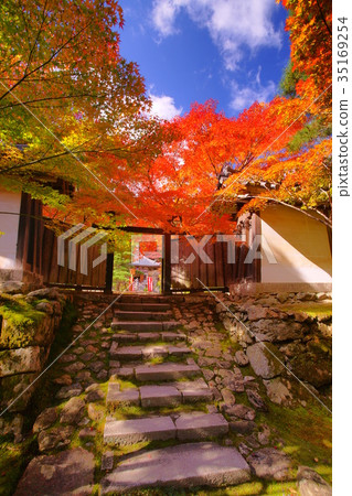 Nison'in Temple black door in autumn 35169254