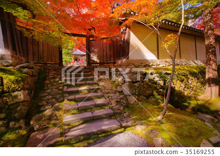 Nison'in Temple black door in autumn Nison'in Temple black door in autumn 35169255