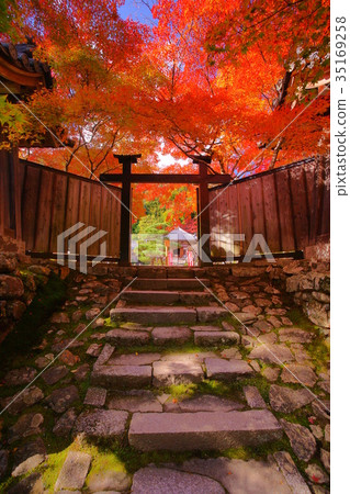 Nison'in Temple black door in autumn 35169258
