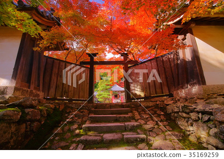 Nison'in Temple black door in autumn 35169259