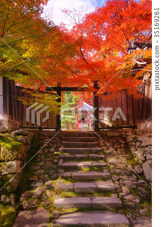 Nison'in Temple black door in autumn 35169261