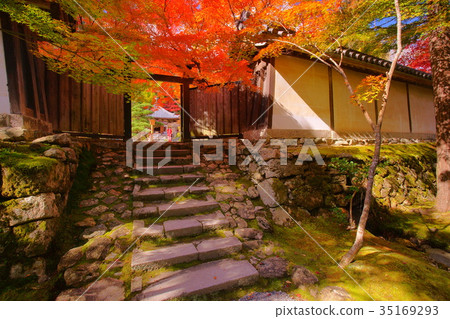 Nison'in Temple black door in autumn 35169293