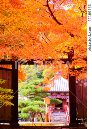 Nison'in Temple black door in autumn 35169388