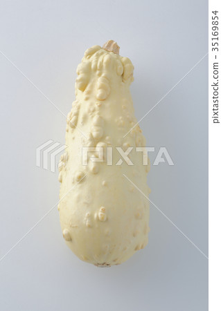 萬聖節南瓜 萬聖節南瓜 35169854