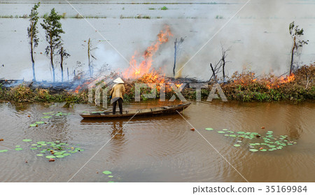 Asian woman on row boat, burn dry tree 35169984