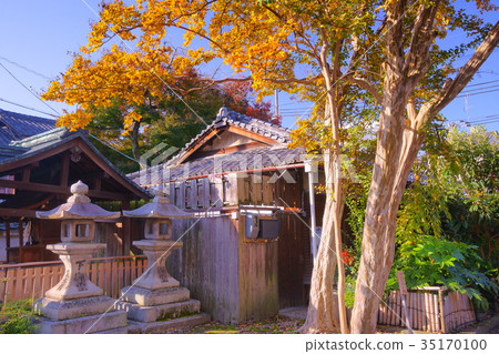 Shimogorei Shrine in autumn 35170100