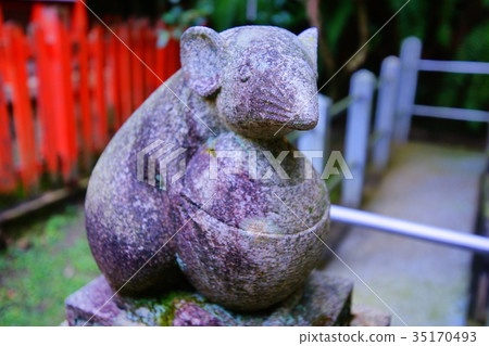 Taiho Shrine(Otoyo Shrine) Guardian rat in autumn 35170493