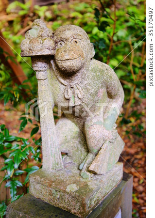 Taiho Shrine guardians monkey (komazaru) in autumn Taiho Shrine guardians monkey (komazaru) in autumn 35170497