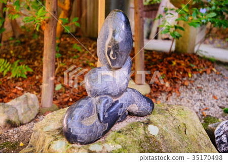 Taiho Shrine guardians snake (komahebi) in autumn 35170498