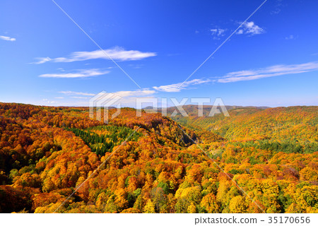 Mt. Hakkoda秋葉 35170656