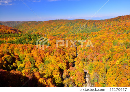 Mt. Hakkoda秋葉 35170657