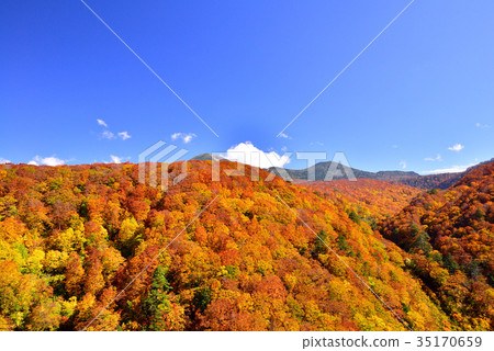 Mt. Hakkoda秋葉 35170659