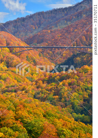 Autumn leaves of Mt. Hakkoda Autumn leaves of Mt. Hakkoda 35170711