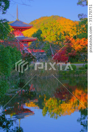 Daikakuji Temple pond in Early autumn 35170751
