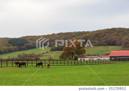 秋天的農場 35170952