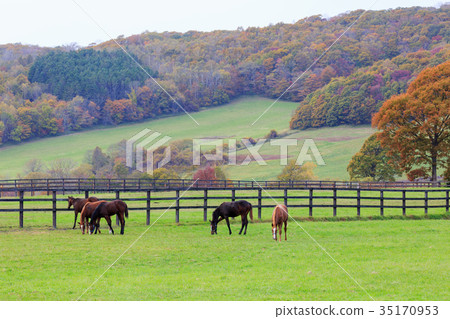 Autumn farm Autumn farm 35170953
