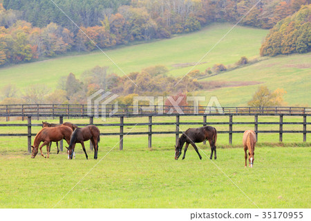 Autumn farm 35170955
