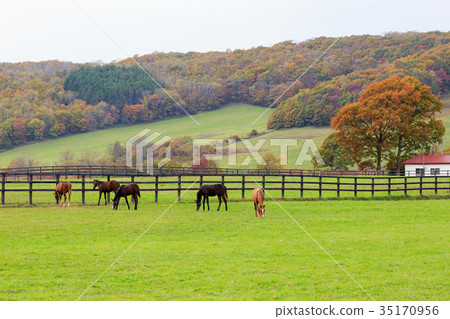 秋天的農場 35170956