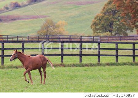 Autumn farm 35170957
