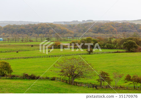 秋天的農場 35170976