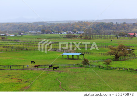 秋天的農場 35170978