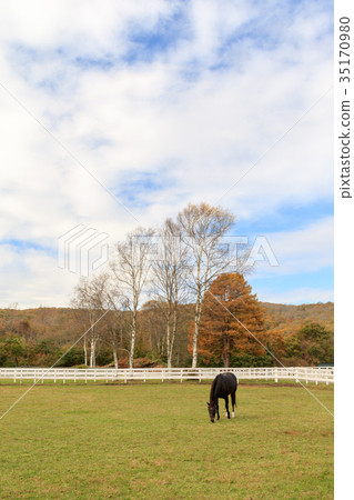 Autumn farm 35170980