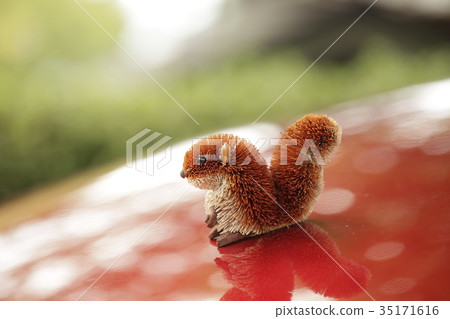 Mini Squirrel-76 Mini Squirrel-76 35171616