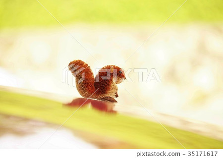 Mini Squirrel-77 35171617