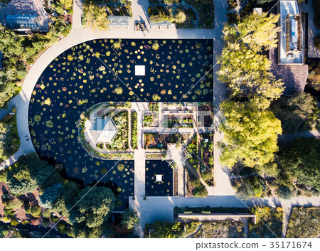 Lake in botanic garden aerial view Lake in botanic garden aerial view 35171674