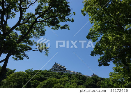 和歌山城 35172426