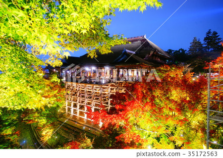 Kiyomizudera Temple stage illuminatio in autumn 35172563