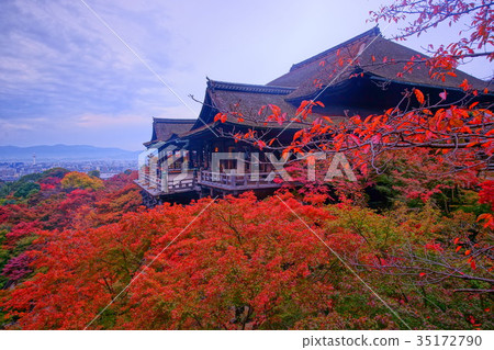 Kiyomizudera Shimizu's stage in autumn 35172790