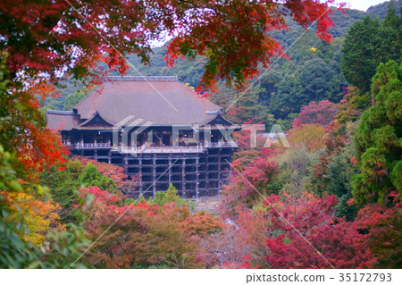 Kiyomizudera Shimizu's stage in autumn 35172793
