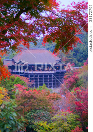 Kiyomizudera Shimizu's stage in autumn 35172795