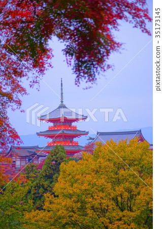 Kiyomizudera Temple Sanjunoto in autumn 35173145