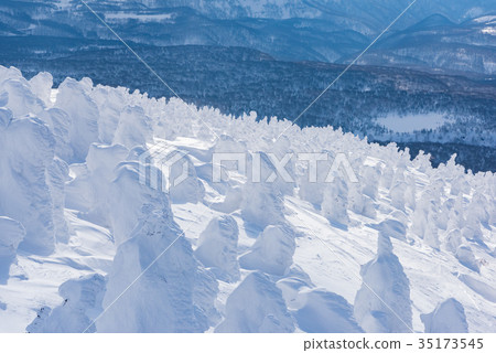 Hakkoda山的強姦 Hakkoda山的強姦 35173545