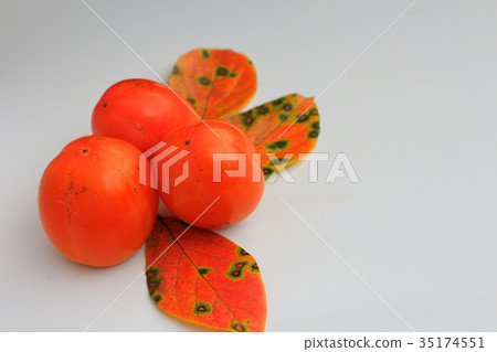 persimmon 35174551