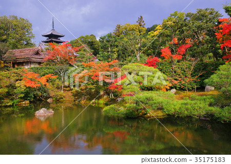Ninnaji North garden in early autumn 35175183