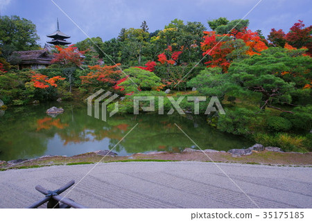 Ninnaji North garden in early autumn Ninnaji North garden in early autumn 35175185