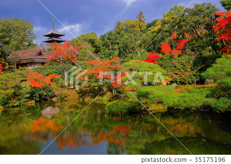 Ninnaji North garden in early autumn 35175196