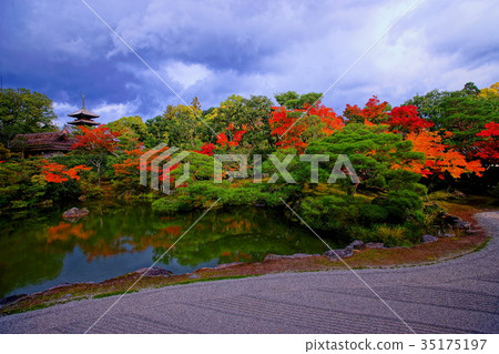 Ninnaji North garden in early autumn 35175197